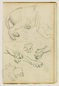Various studies of lion leg, paws and head by Theodore Gericault