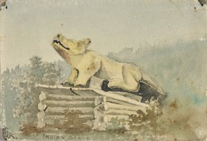 Indian Grave. Wolf Totem over Medicine Man Grave, Wrangell, ca. 1880-1914 by Theodore J. Richardson
