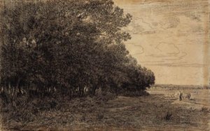 A Small Group of Tall Trees by the Macherin Forest