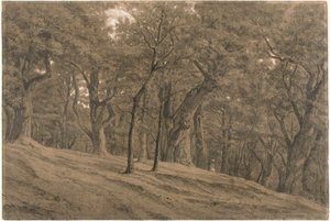 In the Forest of Fontainebleau by Theodore Rousseau