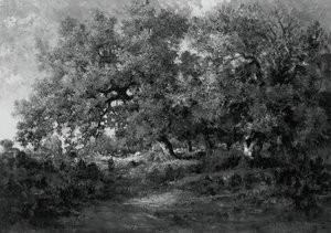 Landscape, c. 1860 by Theodore Rousseau