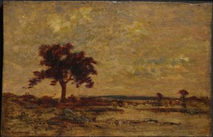 Marshlands by Theodore Rousseau