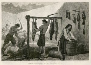 The preparation of the castradina, specialty of meat of sheep and goat salted and smoked, towards the end of October, in Dalmatia (Istria and Herzegovina) by Theodore Valerio