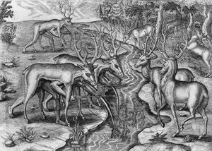 Florida Indians Hunting, Disguised as Deer, United States of America, engraving by Theodor de Bry from Indorum Floridam provinciam inhabitantium eicones, by Jacques Le Moyne de Morgues, Frankfurt am Main