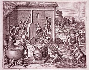 History of America: harvesting sugar cane and sugar production by Indian slaves who work for the Spanish conquistadors (Engraving) by Theodore de Bry