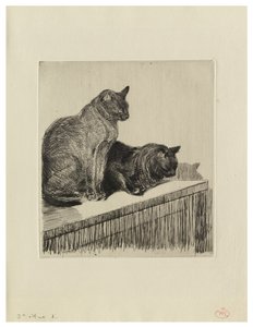 Two Cats on a Piece of Furniture