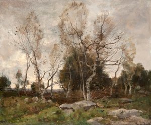 Landscape by Theophile de Bock