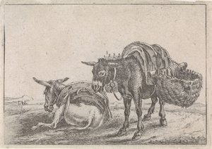 Two Mules