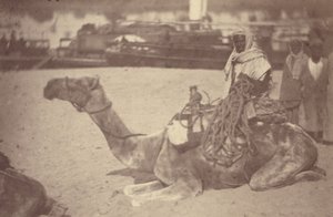 A North African Man on a Camel on the Bank of the Nile by Théodule Devéria