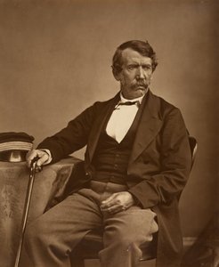 David Livingstone (Original) by Thomas Annan