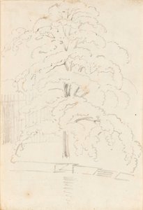 A Study of a Tree Over Water by Thomas Baxter