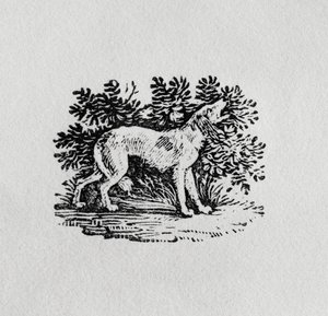 A Hound from 