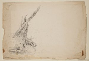 Broken Trunk of a Tree by Thomas Cole
