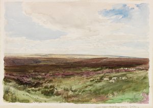 Moorland near Hart Leap Well, Yorkshire
