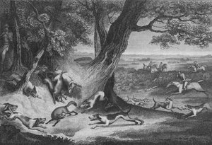 Death of the Fox