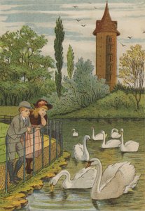 Paris: the swans by Thomas Crane