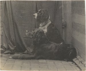 Thomas Eakins
