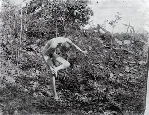 Thorn Puller, c. 1883