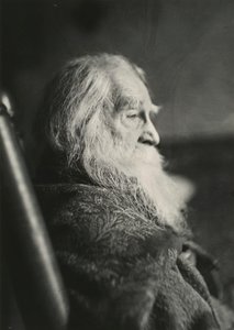 Walt Whitman in Camden, N.J., c. 1891 by Thomas Eakins