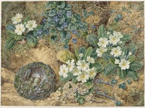 Still Life of a Bird