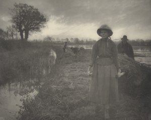 Poling the Marsh Hay, 1886