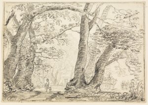 Man with Dog in Forest