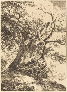 Old Tree by Thomas Hearne