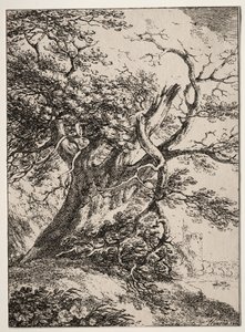 Specimens of Polyautography: Landscape with an Oak Tree, 1803 by Thomas Hearne