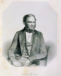 Charles Robert Darwin by Thomas Herbert Maguire