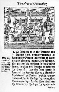 Elizabethan garden from The Profitable Arte of Gardening, 1568