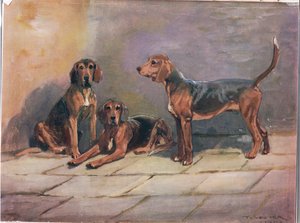 Dogs, illustration from 