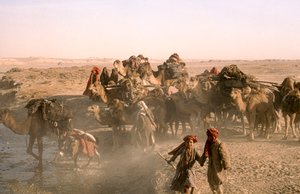 Tribal children with camel caravan, kuchi caravaneers, paused at irrigation ditch
