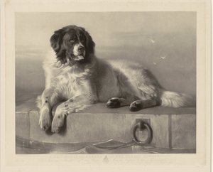 Portrait of the Rescue Dog Bob, Lying on a Pier (title on object: A Distinguished Member of the Humane Society) by Thomas Landseer