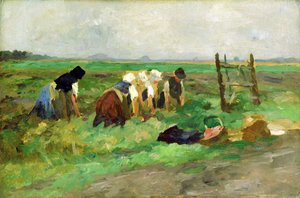 Field Workers