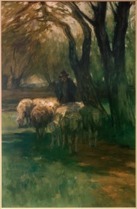 Flock of Sheep under Trees