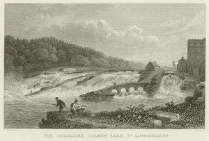 The Coleraine Salmon Leap by Thomas Mann Baynes