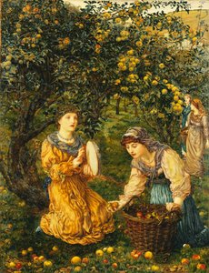 Gathering Apples