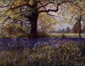 Kew Gardens: Wild Hyacinths