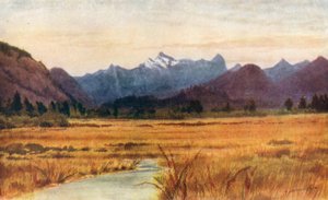 Pitt Meadows, on the Fraser River, British Columbia
