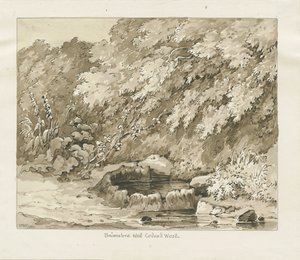 Codsall Wood - Brimstone Well: sepia drawing by Thomas Peploe Wood