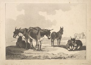 A Group of Five Donkeys, Three Standing, Two Lying by Thomas Rowlandson