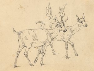 Album Drawing by Thomas Rowlandson