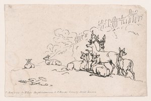 Deer from Plate 3, Outlines of Figures, Landscapes and Cattle...for the Use of Le... by Thomas Rowlandson