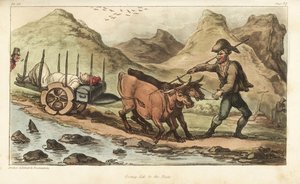 Ensign Johnny Newcome, Sick with Dysentery, Taken by Ox Cart to Salamanca, Spain