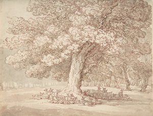Herd of Deer under an Oak Tree, 1775-1827 by Thomas Rowlandson