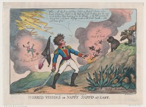 Horrid Visions of Nappy Napp