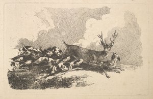 Hounds Hunting a Stag