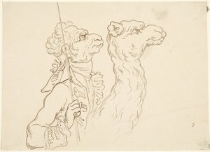 Man and Camel