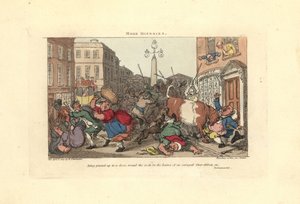 Man pinned to a door by the horns of an enraged ox by Thomas Rowlandson
