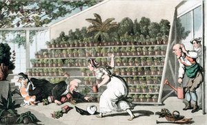 Misfortune in the Tulip Hall by Thomas Rowlandson